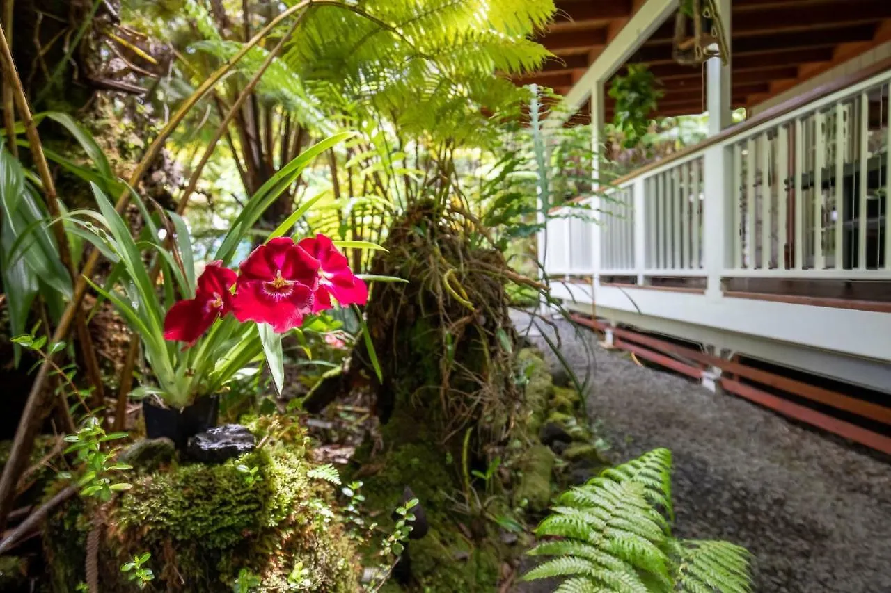 Alas Del Kealoha Holiday home Volcano